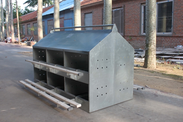 人工撿蛋產蛋箱